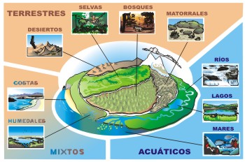 TIPOS DE ECOSISTEMAS